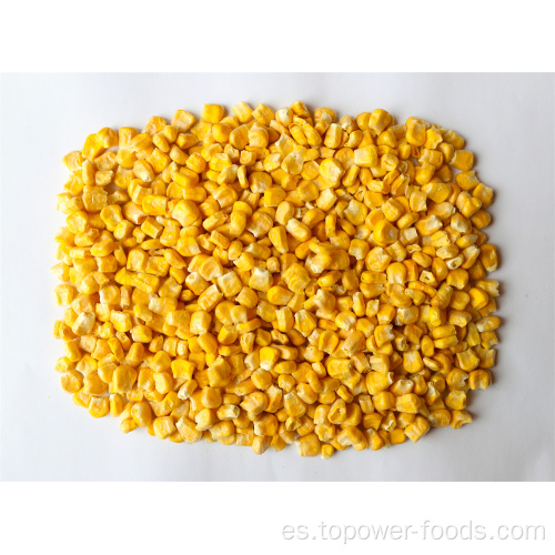 Congelar el maíz dulce seco.